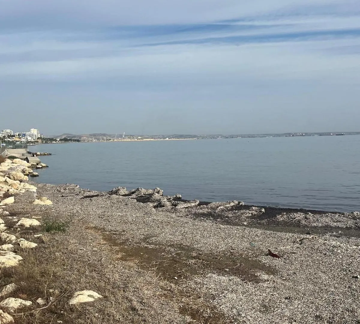 Anamor Apartment 408 Larnaca